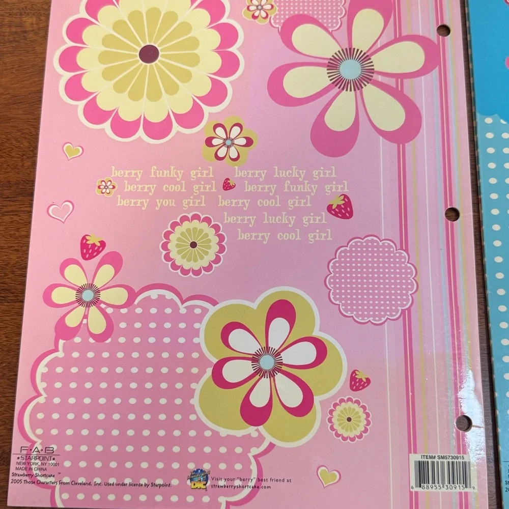 Vintage Strawberry Shortcake 2005 2 Pocket Portfolio Folders 3 Ring